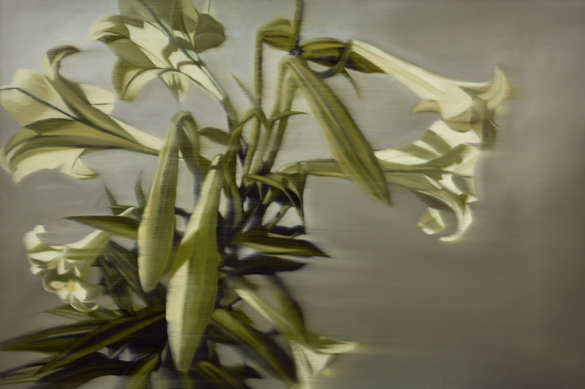 Lily Long Mono