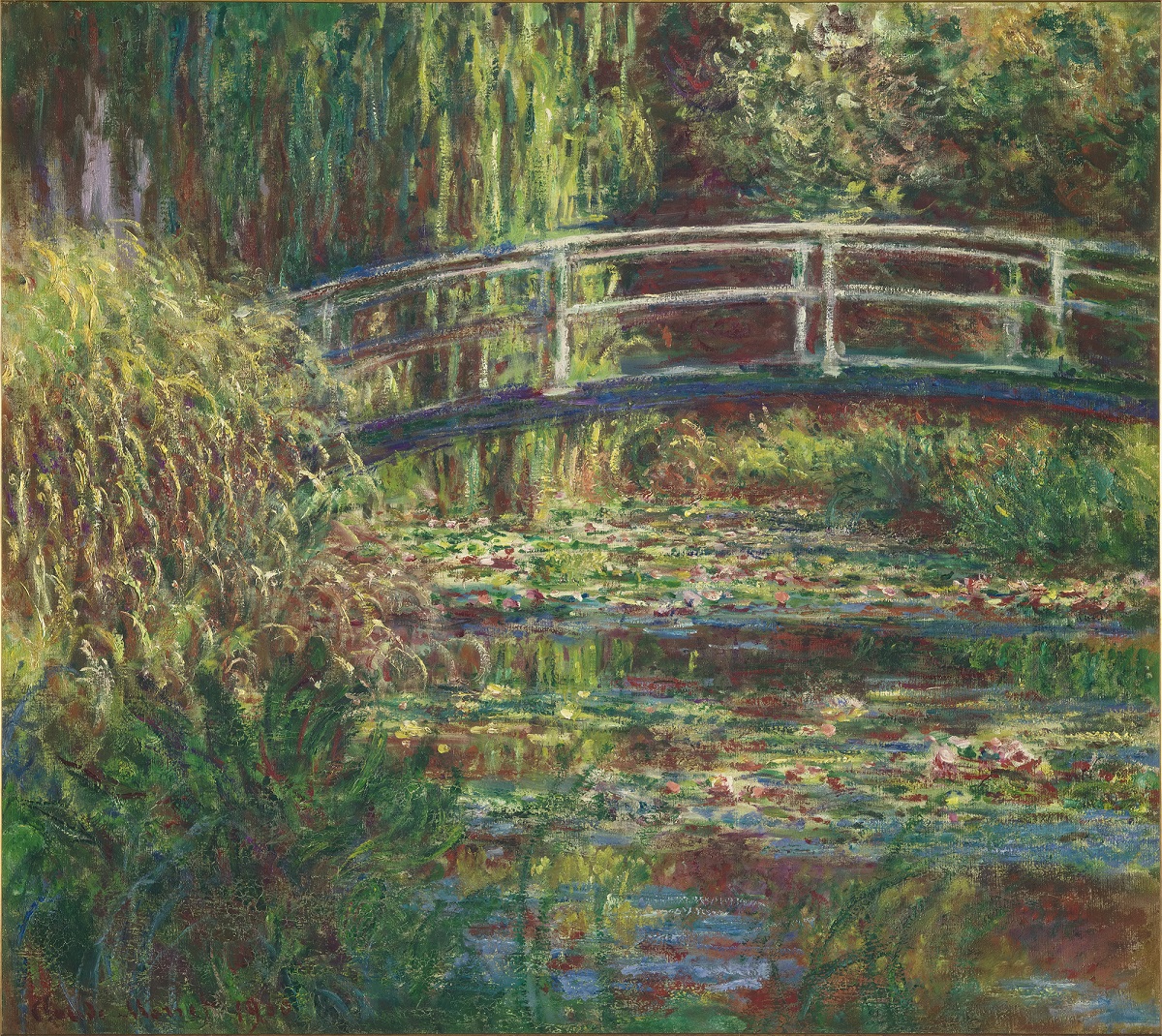 Century of Light - Waterlily Pond