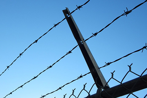 Wall