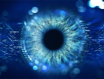 Dark Web Monitoring