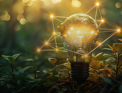 lightbulb