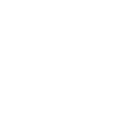 Data loss protection