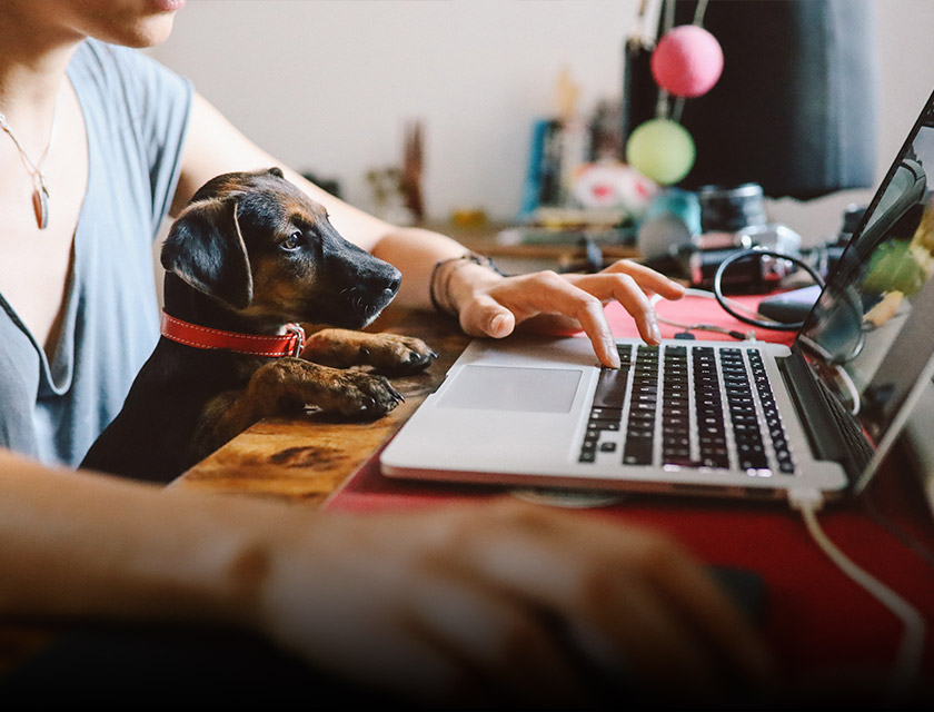 5 digital solutions to stay engaged with employees working remotely