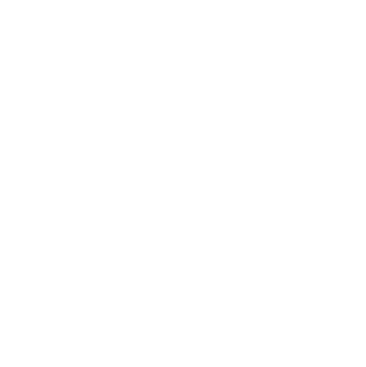 Web console