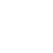 small-speed-icon