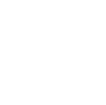 small dollar icon