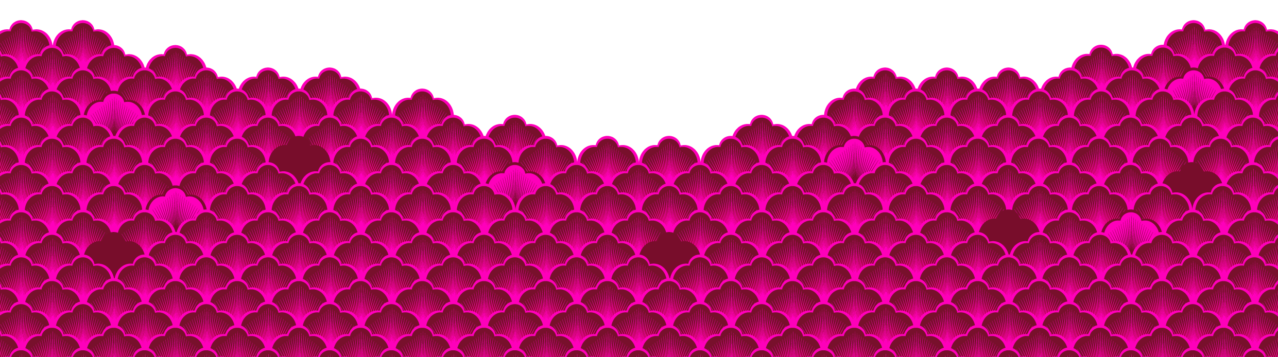 extended-bottom
