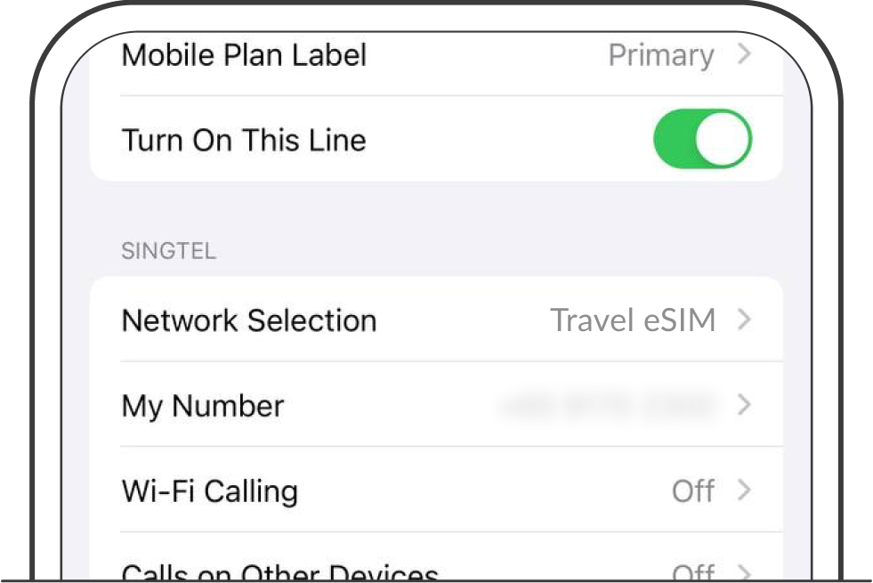 Turn on this line and Data roaming